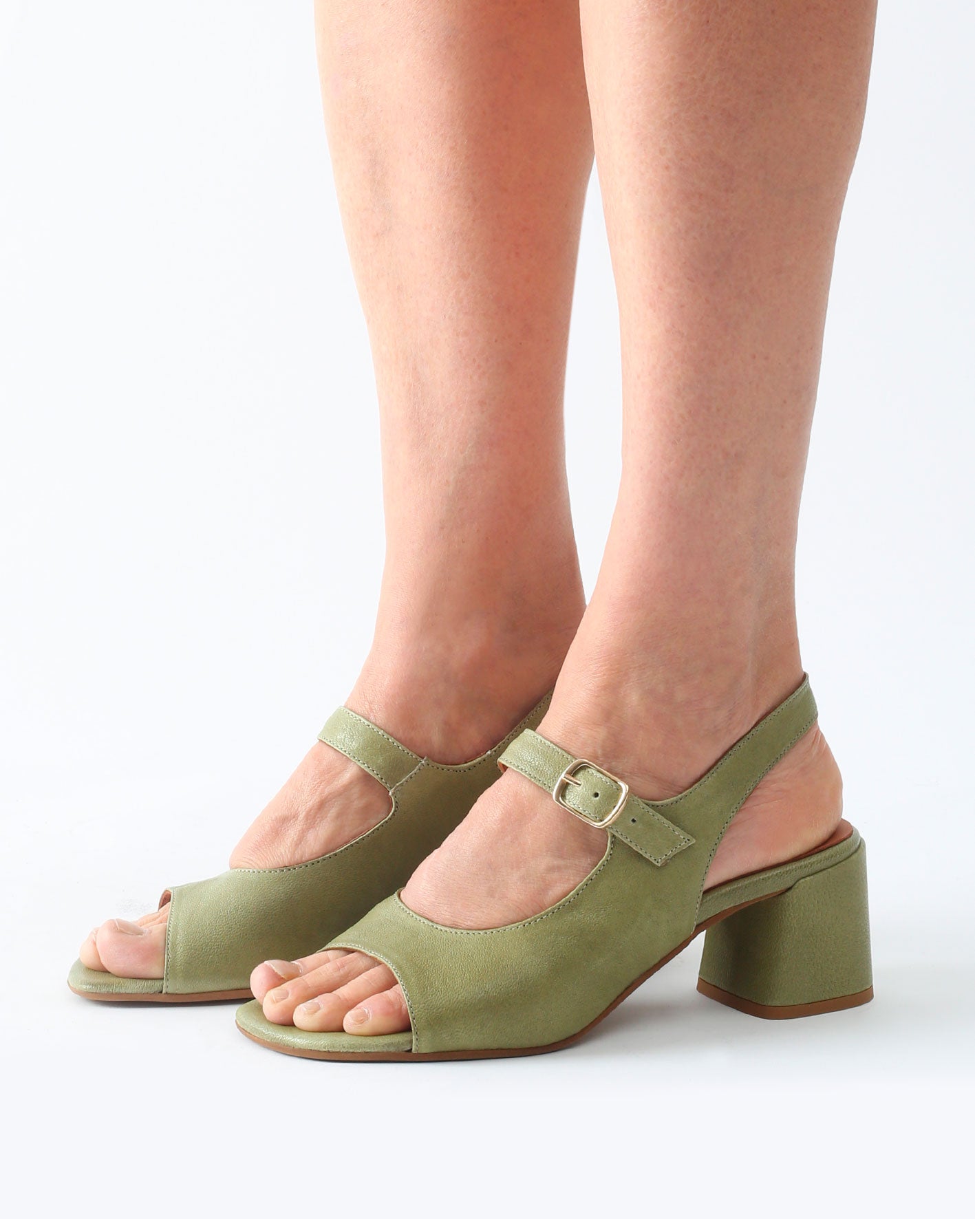 BEGONIA BEGONIA VERDE SUEDE 